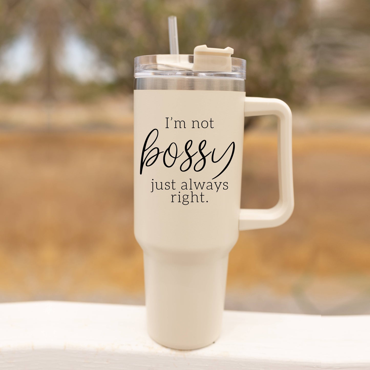 Mug- Insulated Travel Cup with Lid & Straw, 40oz